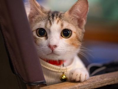 A water bottle and a timer on a bench.